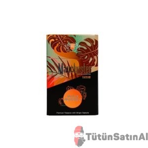Manchester Sigara Keyfini Artıran İpuçları 3 Manchester Nano Wild Russet Slim Sigara