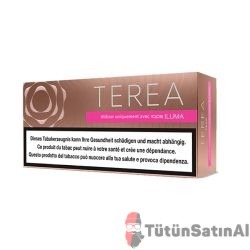 TEREA Teak IQOS Iluma