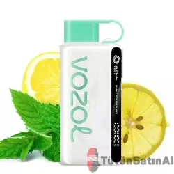 Vozol STAR 12000 LEMON MINT (LİMON-NANE)