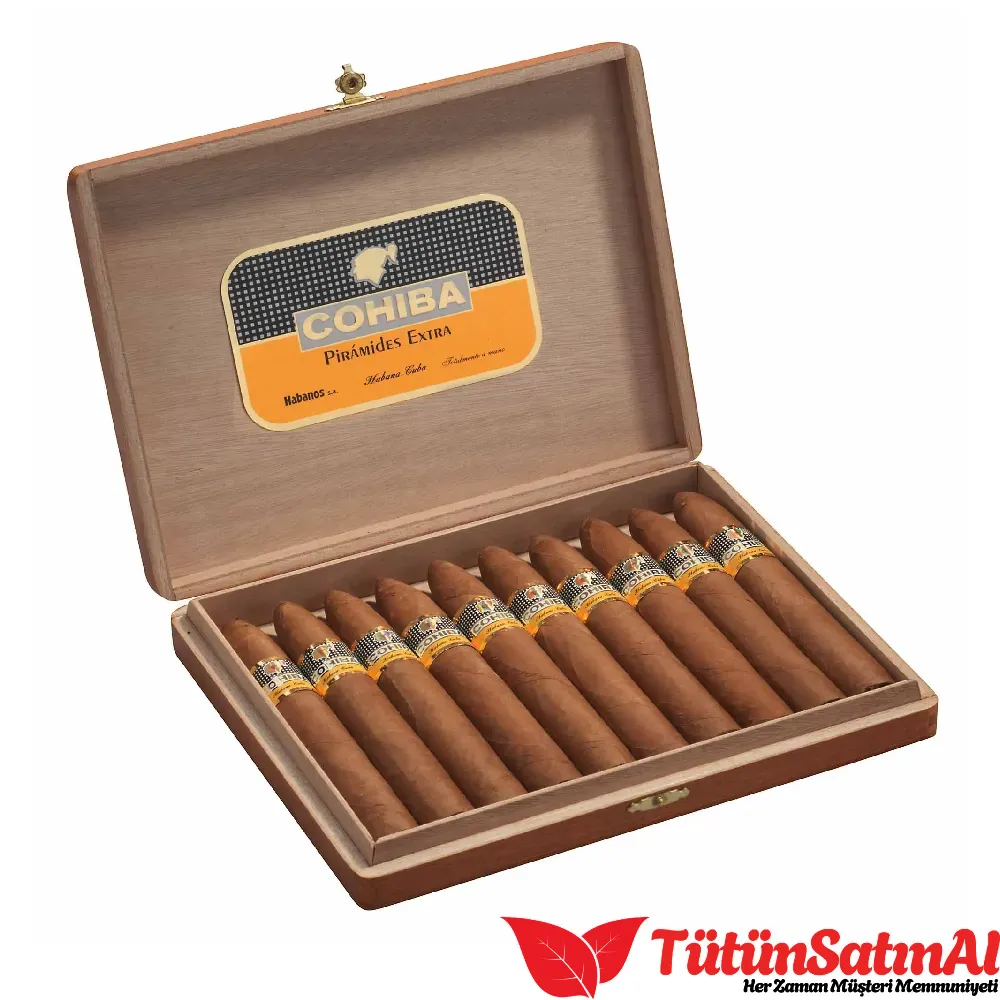 Cohiba Pirámides Extra 10’lu Puro 1 Cohiba Pirámides Extra 10’lu Puro