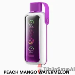 Vozol Star 20000 Peach Mango Watermelon