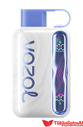 Vozol Star 40000 Blueberry Watermelon 1 Vozol Star 40000 Blueberry Watermelon