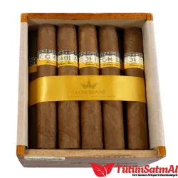 COHIBA ROBUSTOS 2010