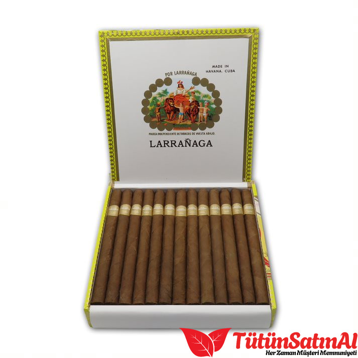 Por Larrañaga Petit Coronas: Slim Boy Format İncelemesi 4