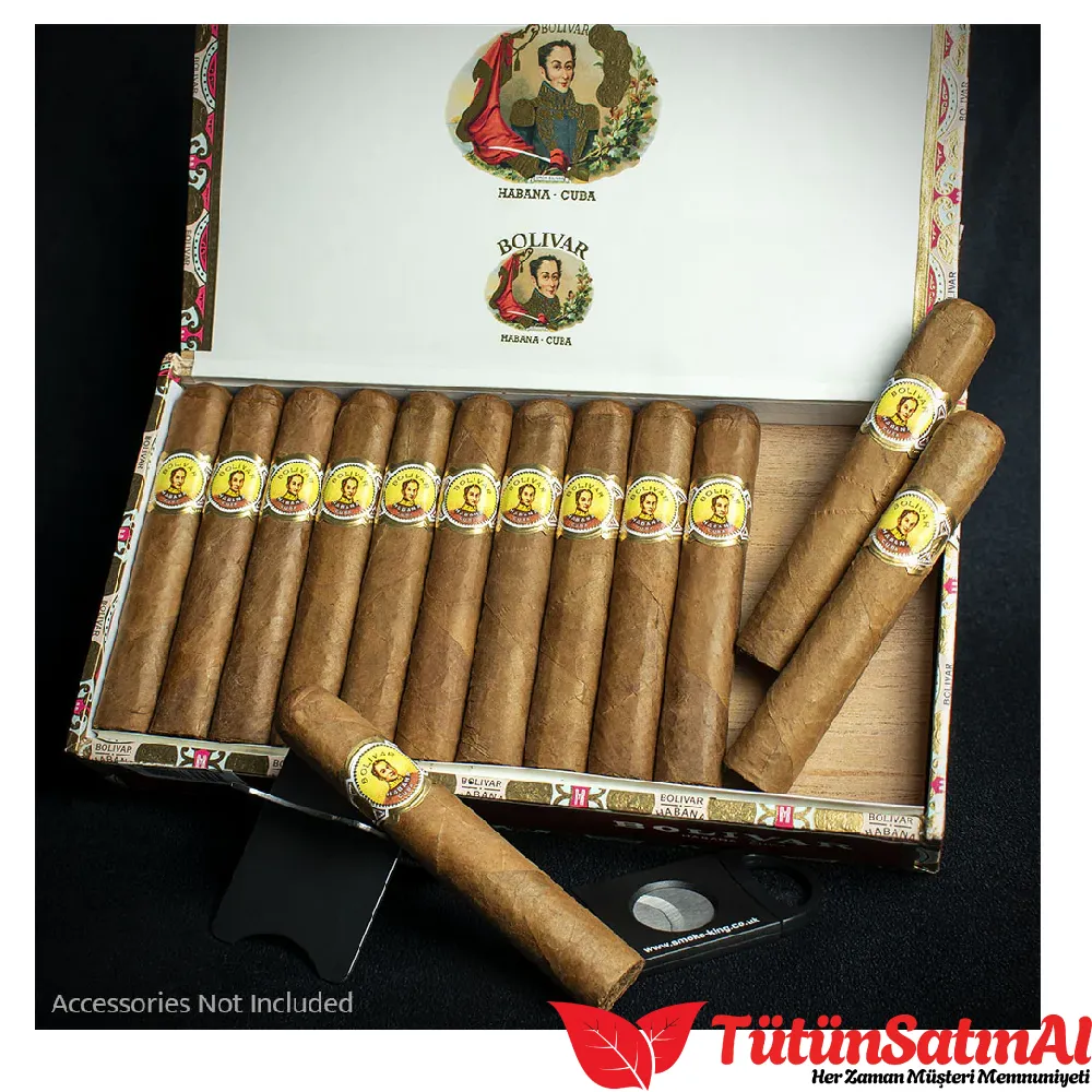 bolivar royal coronas tutunsatinal
