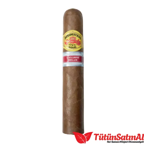 diplomaticos el diputado ex belux galeri tutunsatinal