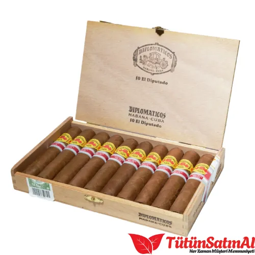 Diplomaticos El Diputado Ex. Belux