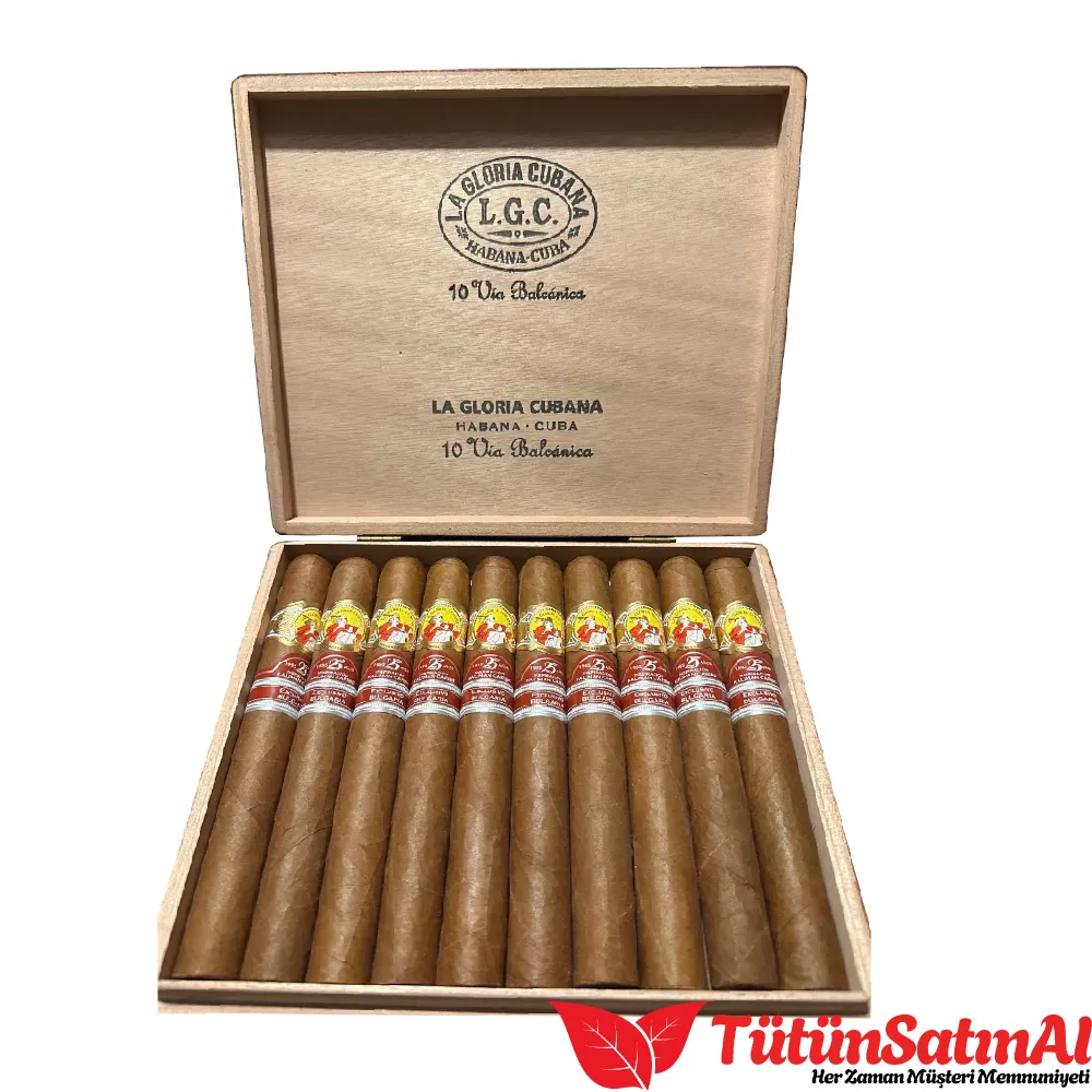 La Gloria Cubana Balcanica Ex. Bulgaria 3 La Gloria Cubana Balcanica Ex. Bulgaria - Görsel 3