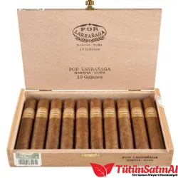 Por Larrañaga Galanes