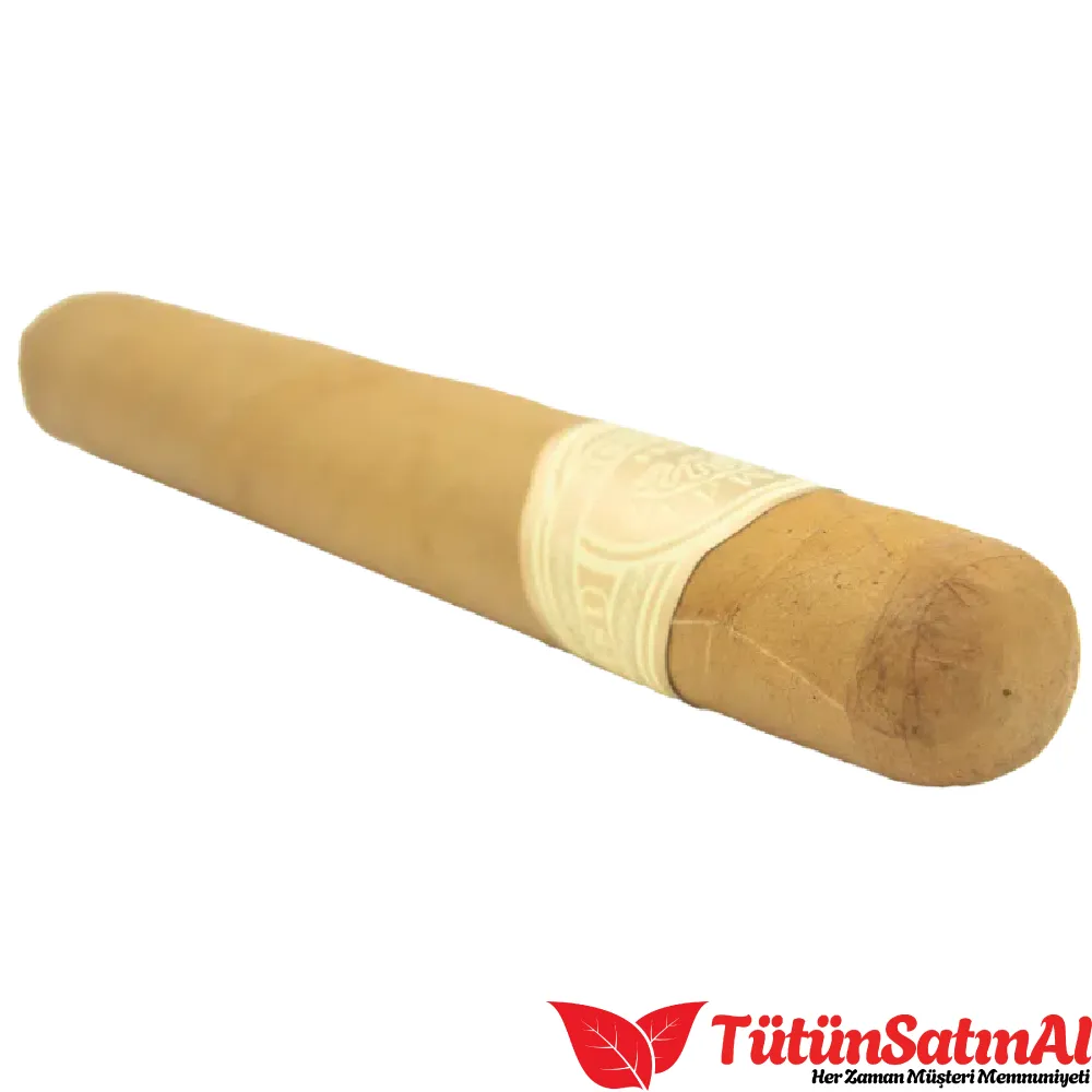 H.upmann 1844 Classic Toro Puro 4 H.upmann 1844 Classic Toro Puro - Görsel 4