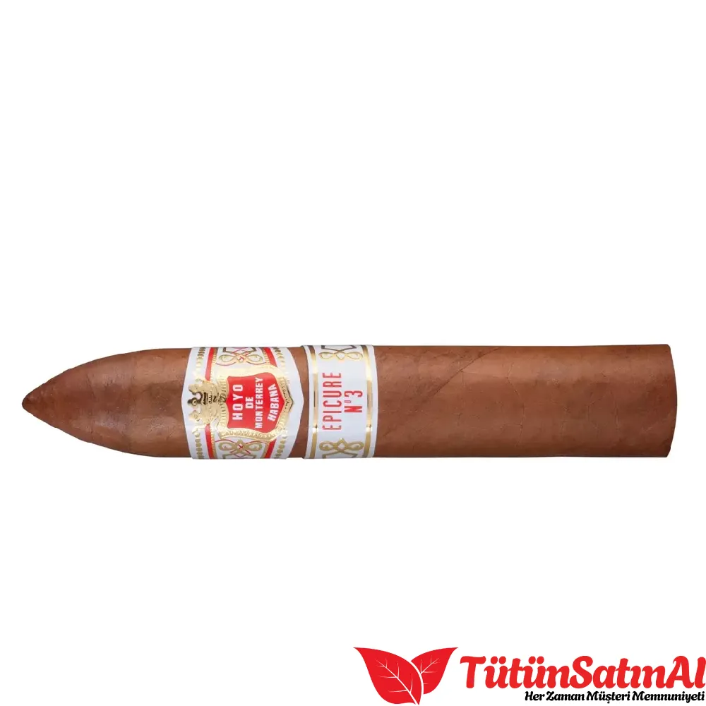 Hoyo de Monterrey Epicure No.3 25's Puro 3 Hoyo de Monterrey Epicure No.3 25's Puro - Görsel 3