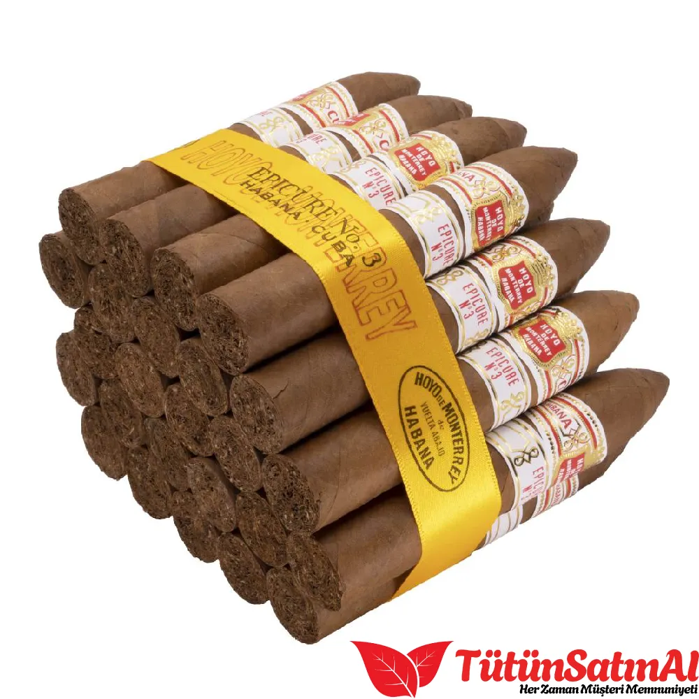 Hoyo de Monterrey Epicure No.3 25's Puro 2 Hoyo de Monterrey Epicure No.3 25's Puro - Görsel 2