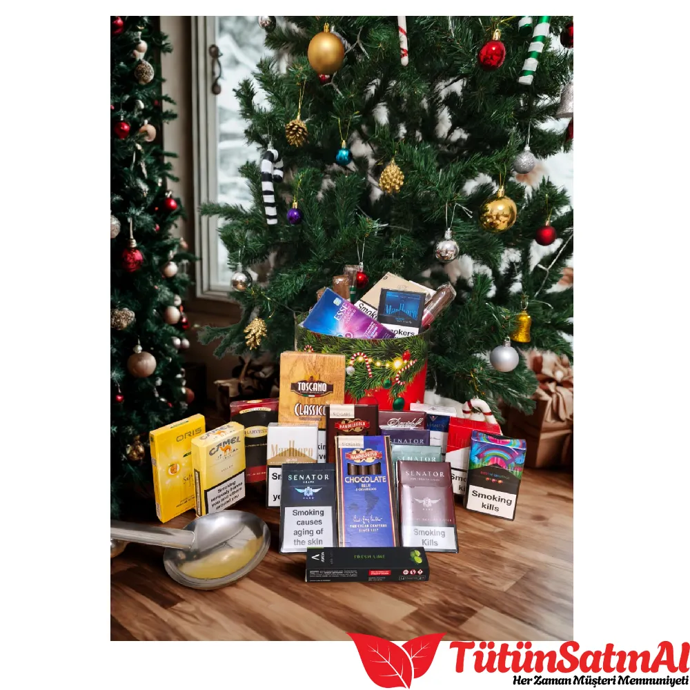 Büyük Boy Yılbaşı Paketi 10 Büyük Boy Yılbaşı Paketi - Görsel 10