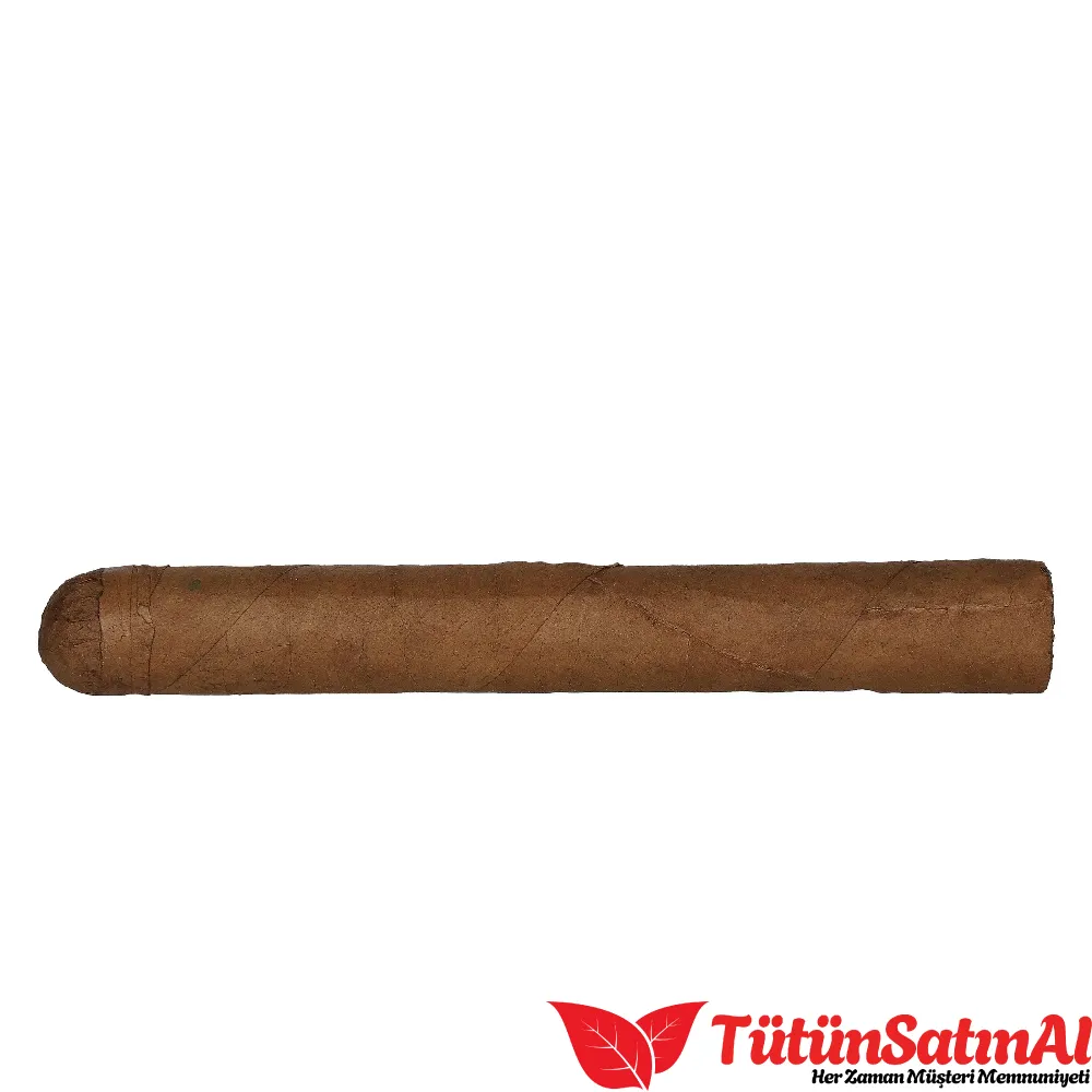 Dominican Bundles Corona Puro - 1 Adet 1 Dominican Bundles Corona Puro - 1 Adet
